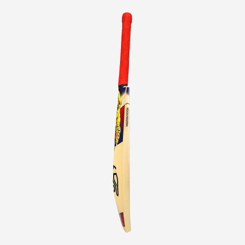Beast Pro 9.0 Kashmir Cricket Bat