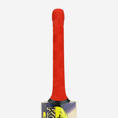 Beast Pro 9.0 Kashmir Cricket Bat