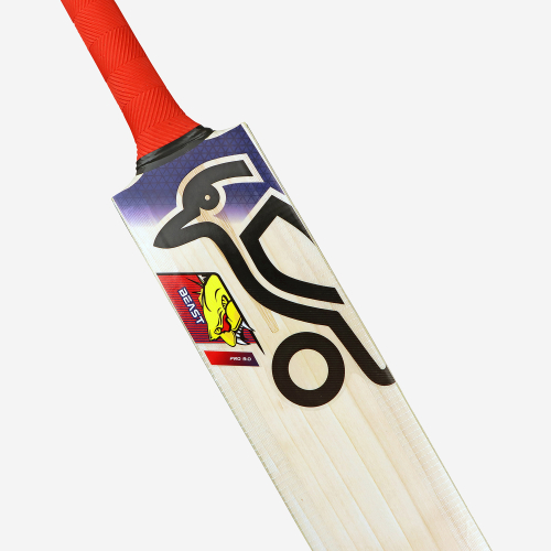 Beast Pro 9.0 Kashmir Cricket Bat
