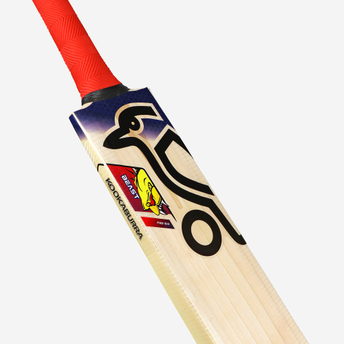 Beast Pro 9.0 Kashmir Cricket Bat