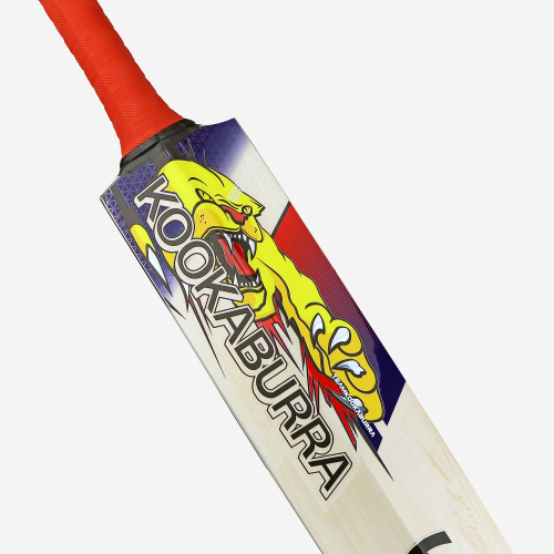 Beast Pro 2.0 EW Adult Cricket Bat