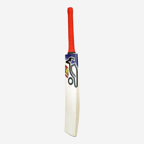 Beast Pro 2.0 EW Adult Cricket Bat