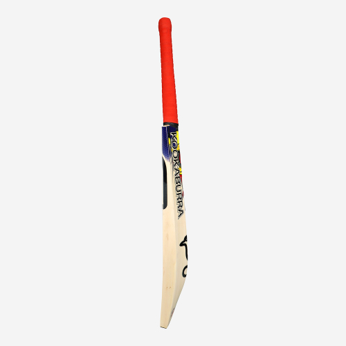 Beast Pro 2.0 EW Adult Cricket Bat