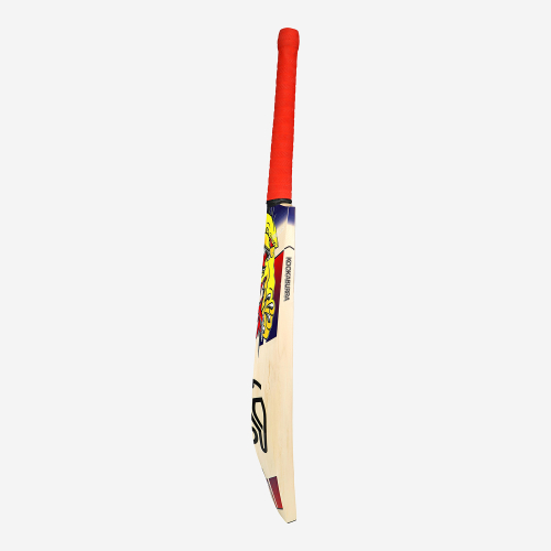 Beast Pro 2.0 EW Adult Cricket Bat