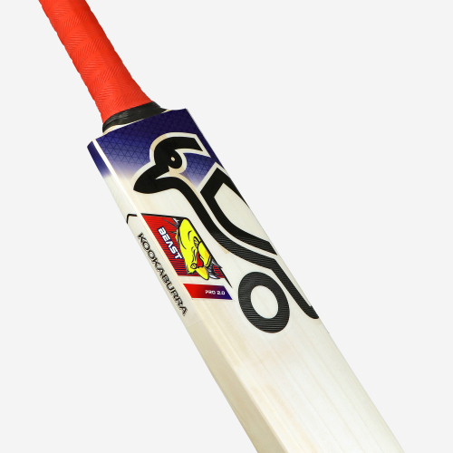 Beast Pro 2.0 EW Adult Cricket Bat