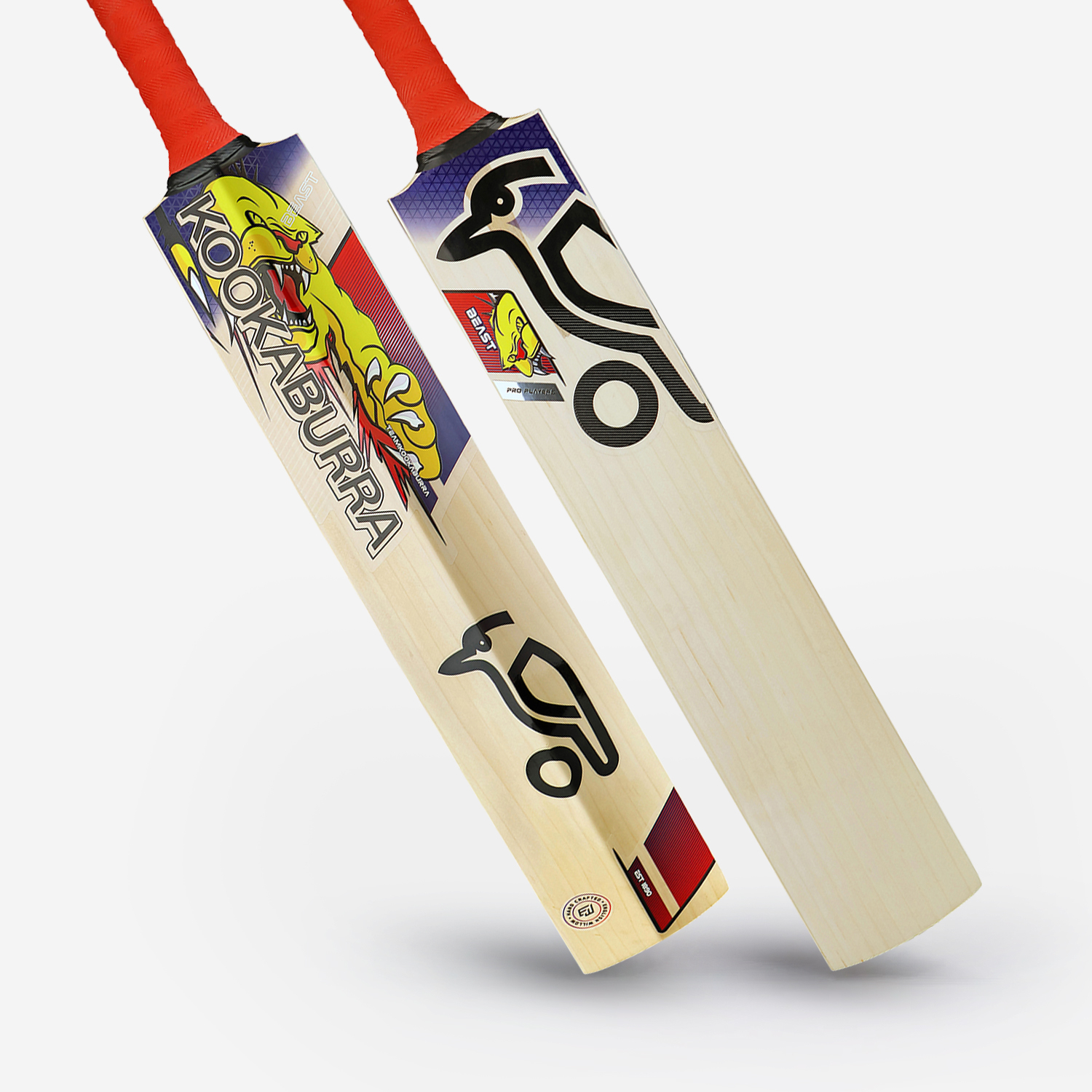 Beast Pro Players EW Adult Cricket Bat