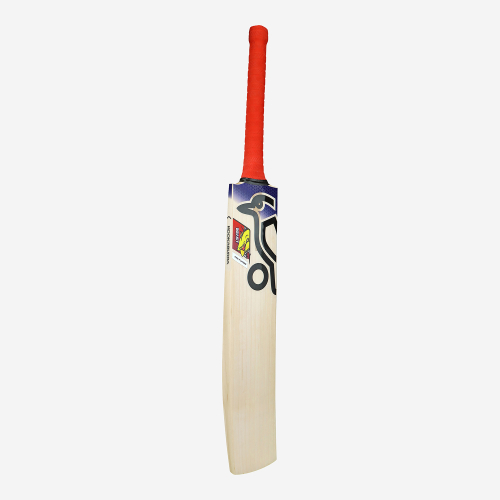 Beast Pro Players EW Adult Cricket Bat