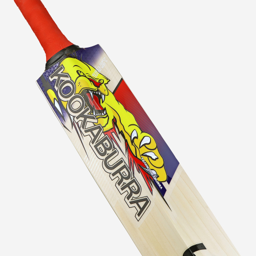 Beast Pro Players EW Adult Cricket Bat