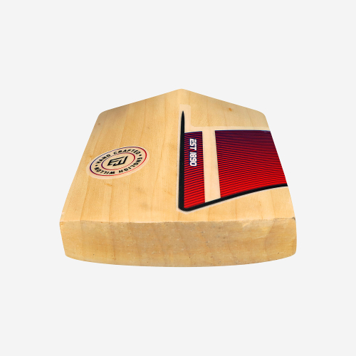 Beast Pro Players EW Adult Cricket Bat