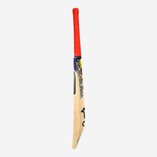 Beast Pro Players EW Adult Cricket Bat