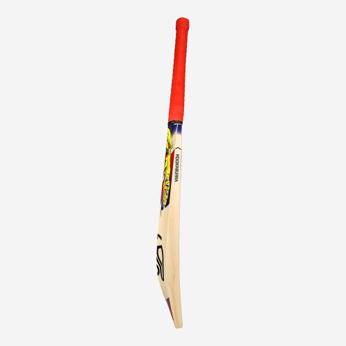 Beast Pro Players EW Adult Cricket Bat
