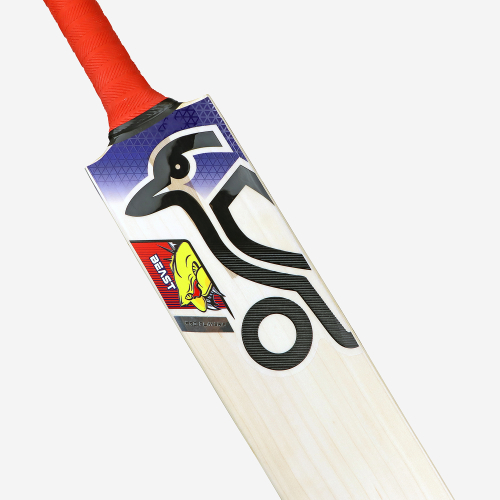 Beast Pro Players EW Adult Cricket Bat