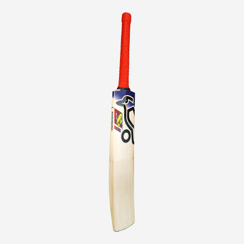Beast Pro 4.0 EW Adult Cricket Bat