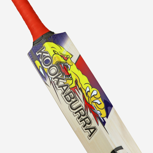 Beast Pro 4.0 EW Adult Cricket Bat