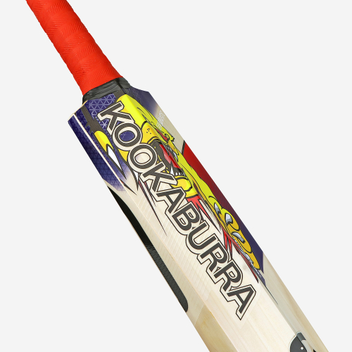 Beast Pro 4.0 EW Adult Cricket Bat