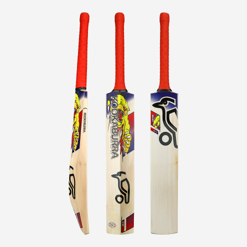 Beast Pro 4.0 EW Adult Cricket Bat