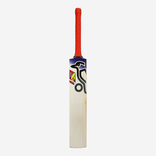 Beast Pro 4.0 EW Adult Cricket Bat