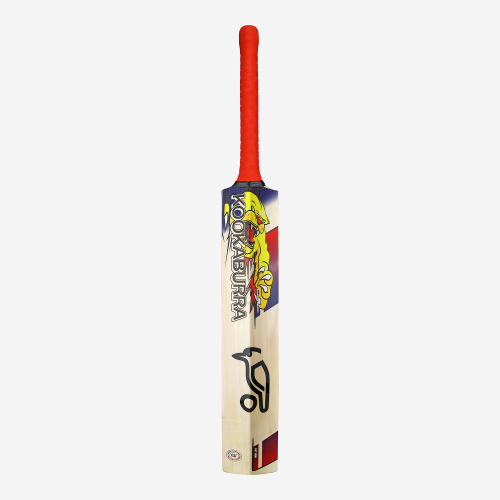 Beast Pro 4.0 EW Adult Cricket Bat