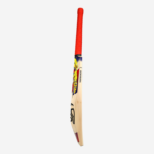 Beast Pro 4.0 EW Adult Cricket Bat