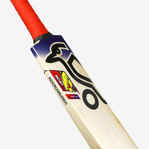 Beast Pro 4.0 EW Adult Cricket Bat