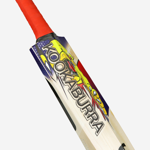 Beast Pro 6.0 EW Adult Cricket Bat