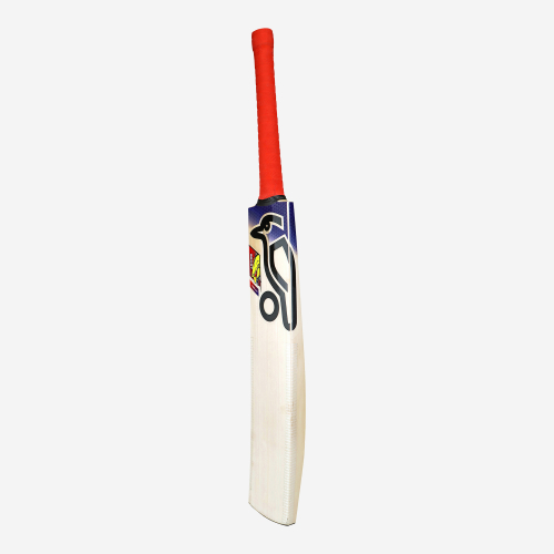 Beast Pro 6.0 EW Adult Cricket Bat