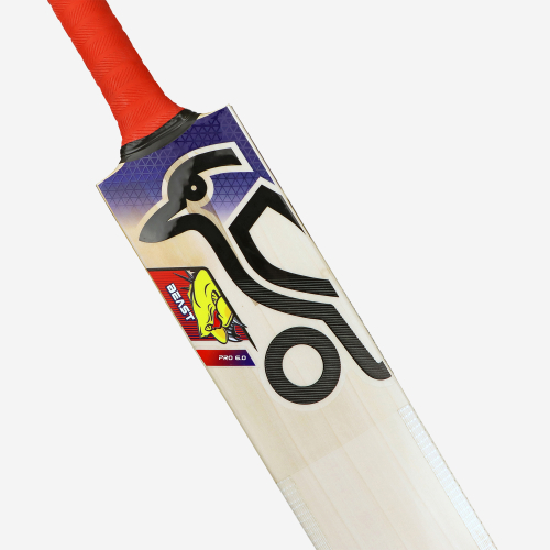 Beast Pro 6.0 EW Adult Cricket Bat