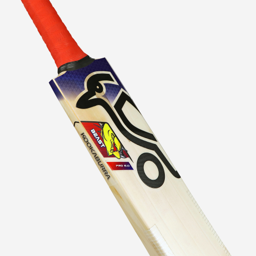 Beast Pro 6.0 EW Adult Cricket Bat