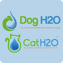 H2O