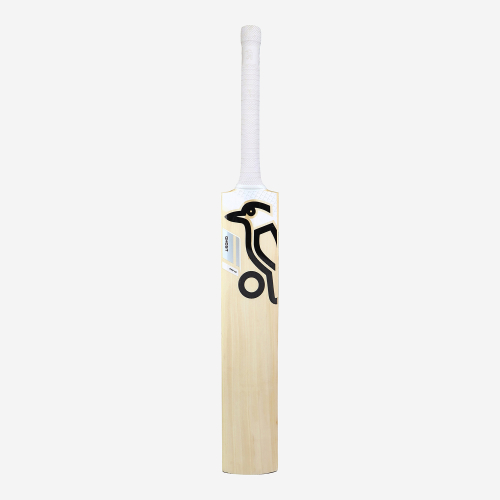 Ghost Pro 1.0 EW Adult Cricket Bat