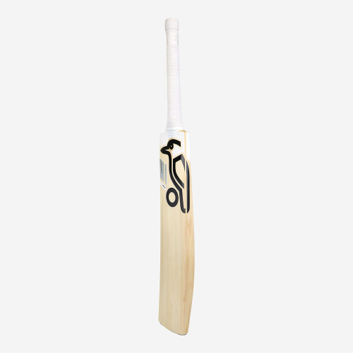 Ghost Pro 1.0 EW Adult Cricket Bat