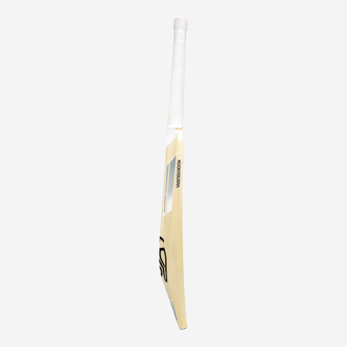 Ghost Pro 1.0 EW Adult Cricket Bat