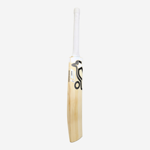 Ghost Pro 4.0 EW Adult Cricket Bat