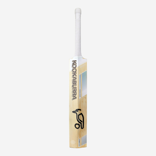 Ghost Pro 4.0 EW Adult Cricket Bat