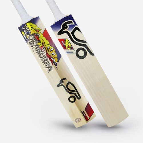 Glenn Maxwell EW Players Replica Bat 2025/26