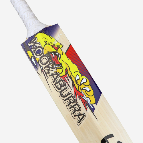 Glenn Maxwell EW Players Replica Bat 2025/26
