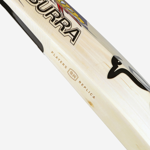 Glenn Maxwell EW Players Replica Bat 2025/26