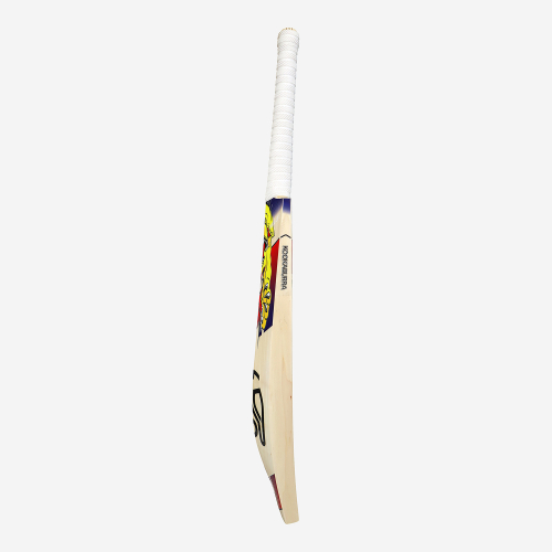 Glenn Maxwell EW Players Replica Bat 2025/26