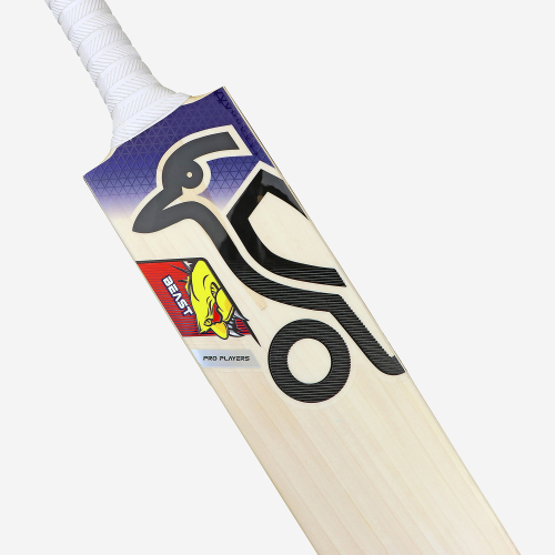 Glenn Maxwell EW Players Replica Bat 2025/26