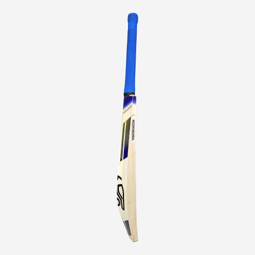 Monarch Pro Players EW 1.0 Junior Cricket Bat