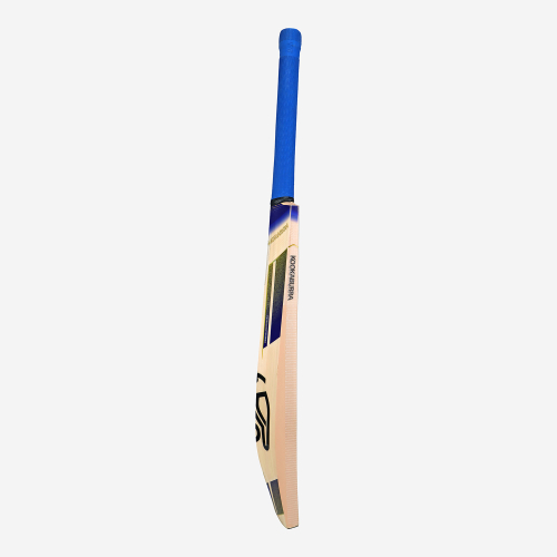 Monarch Pro 5.0 EW Junior Cricket Bat