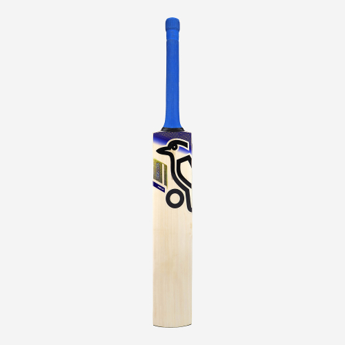 Monarch Pro Players EW 1.0 Adult Cricket Bat