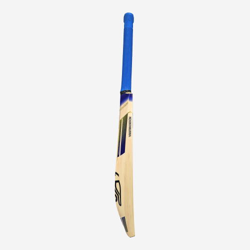 Monarch Pro 3.0 EW Adult Cricket Bat