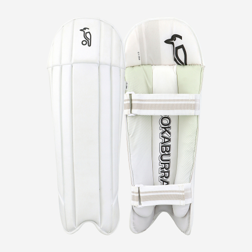Pro 1.0 Wicket Keeping Pads