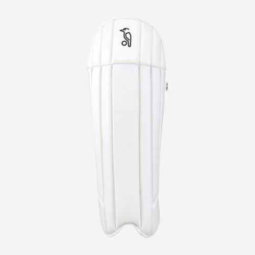 Pro 1.0 Wicket Keeping Pads