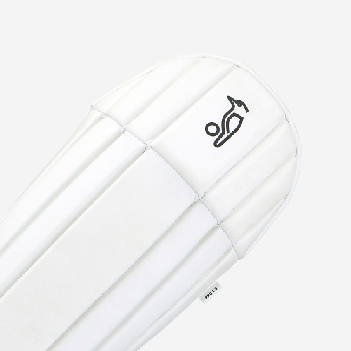 Pro 1.0 Wicket Keeping Pads