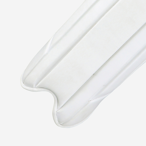 Pro 1.0 Wicket Keeping Pads