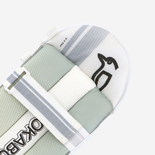Pro 2.0 Wicket Keeping Pads