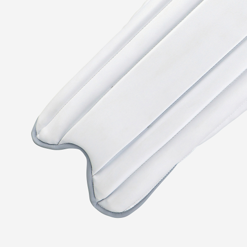 Pro 2.0 Wicket Keeping Pads