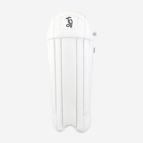 Pro Players Wicket Keeping Pads